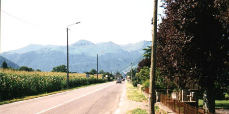 pyrenees